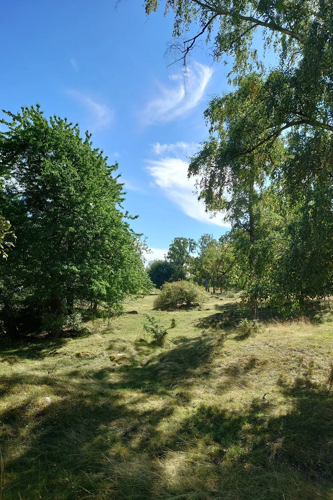 Björkö-Birka (Island in Lake Mälaren with remnants of the former trading town Birka)