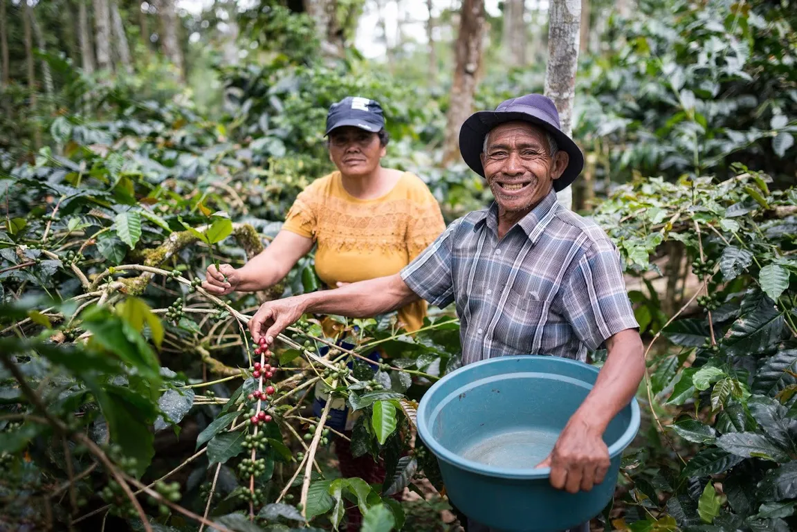 Bali Beans Plantation