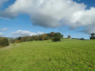 National Trust - Woolbeding Gardens
