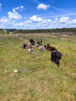 The Viking Museum Fyrkat