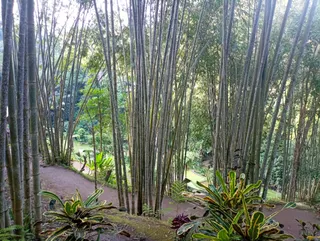 Delodsema Traditional Village, Tegallalang