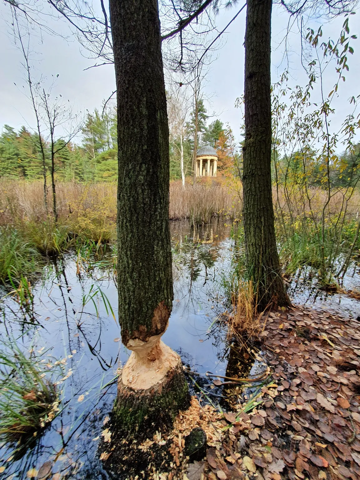 Świątynia Matyldy