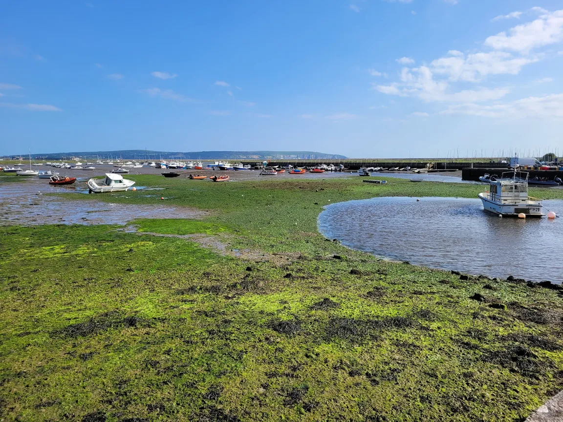 Solent Way