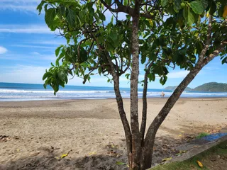 Playa Herradura