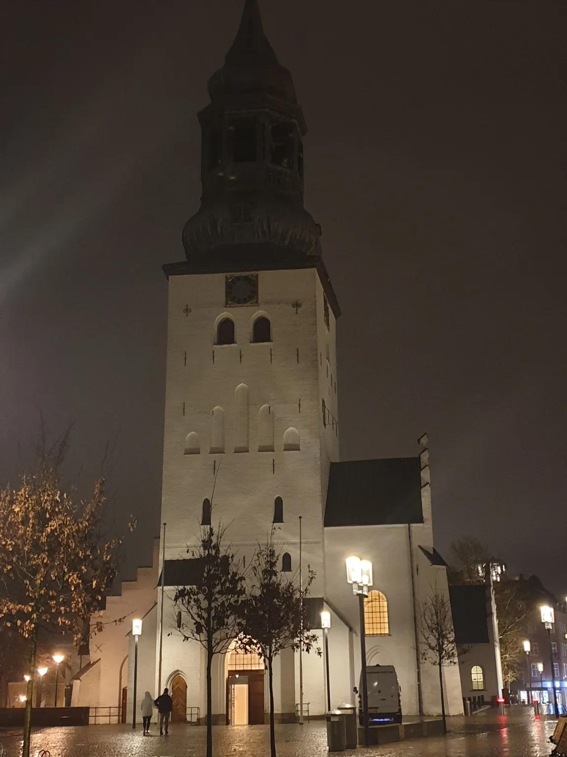 Katedra św. Budolfi w Aalborgu