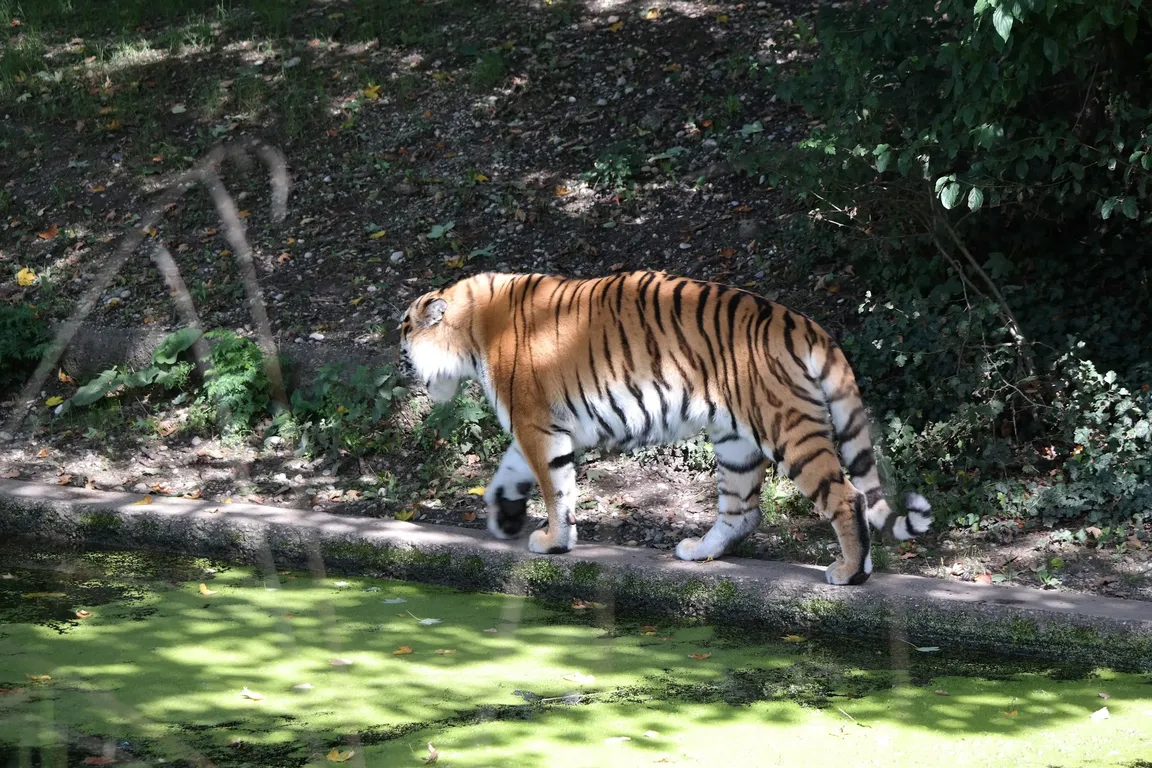 Hellabrunn Zoo