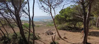 Campsite little 3-Ahrax