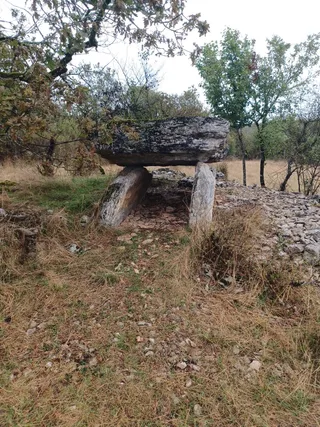 Dolmen de Combes-Hautes