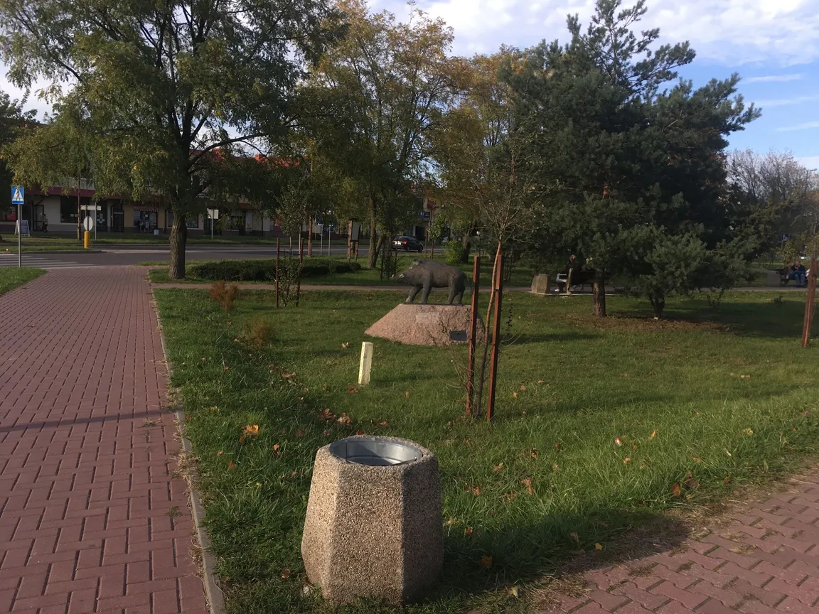 Pomnik dzika