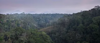Wijaya Kusuma Restaurant