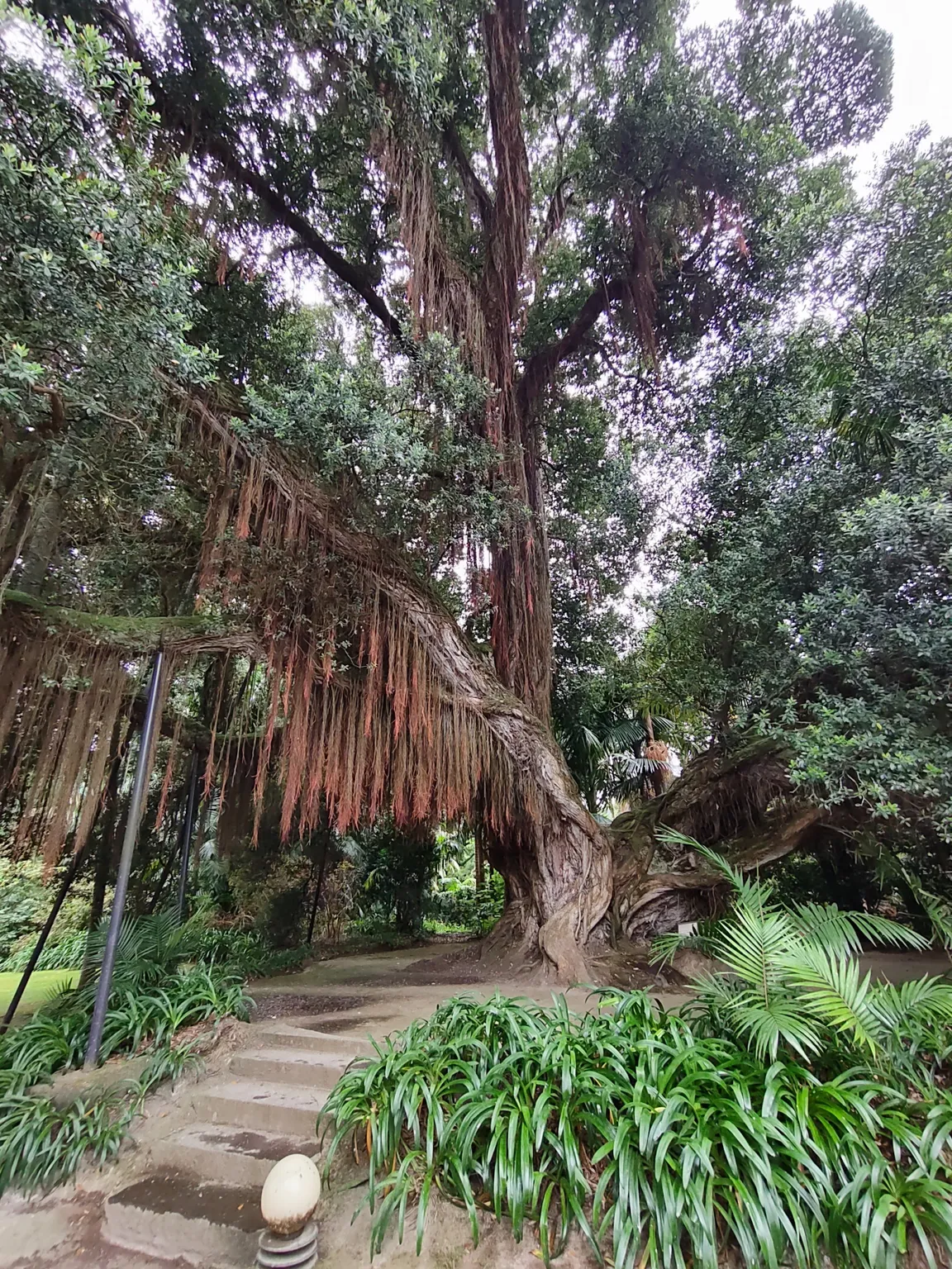 Parque Terra Nostra