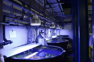 Haohai Lifang Aquarium