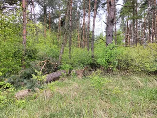 Ścieżka dydaktyczna „Czahary”