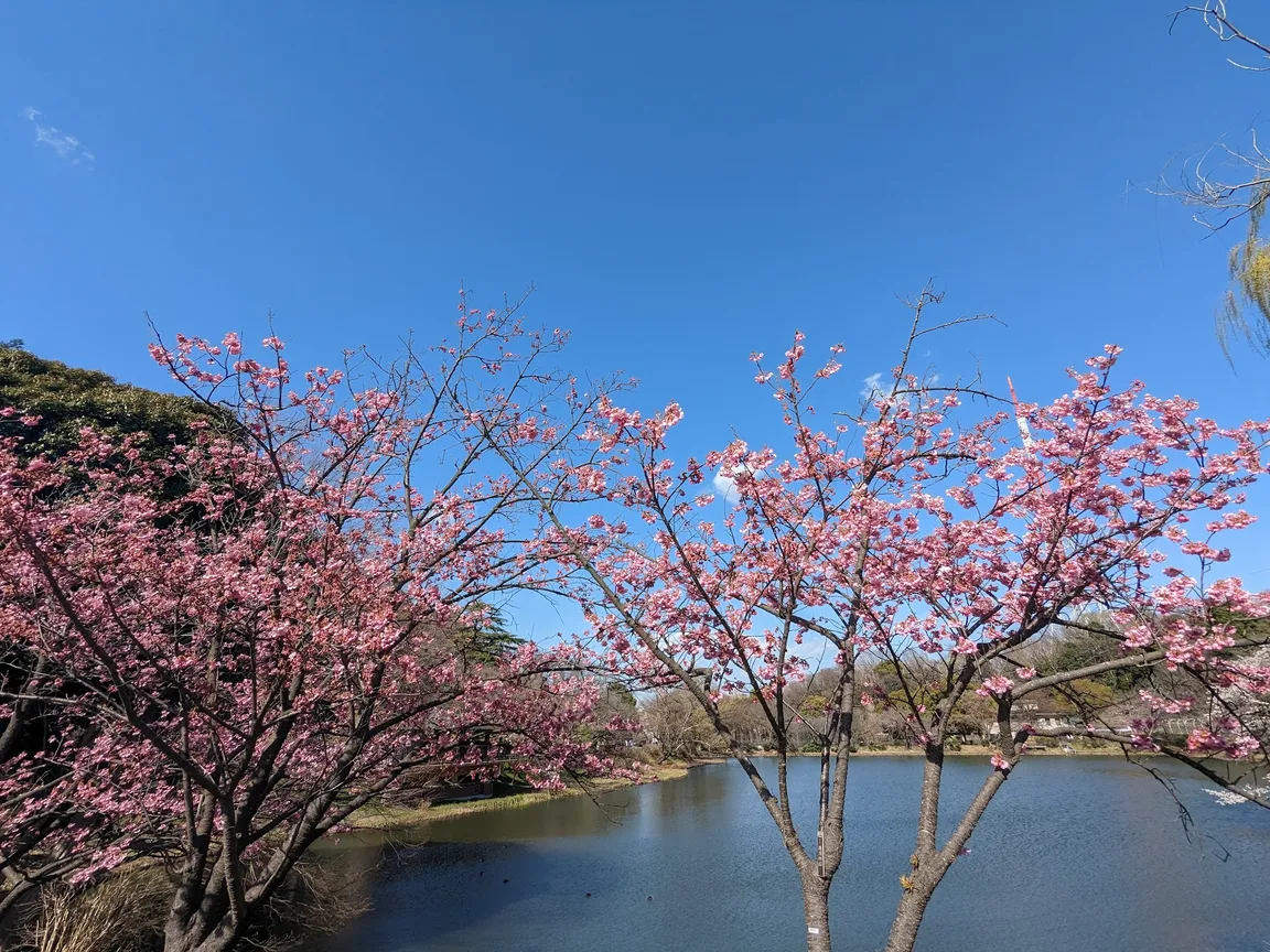 Mitsuike Park