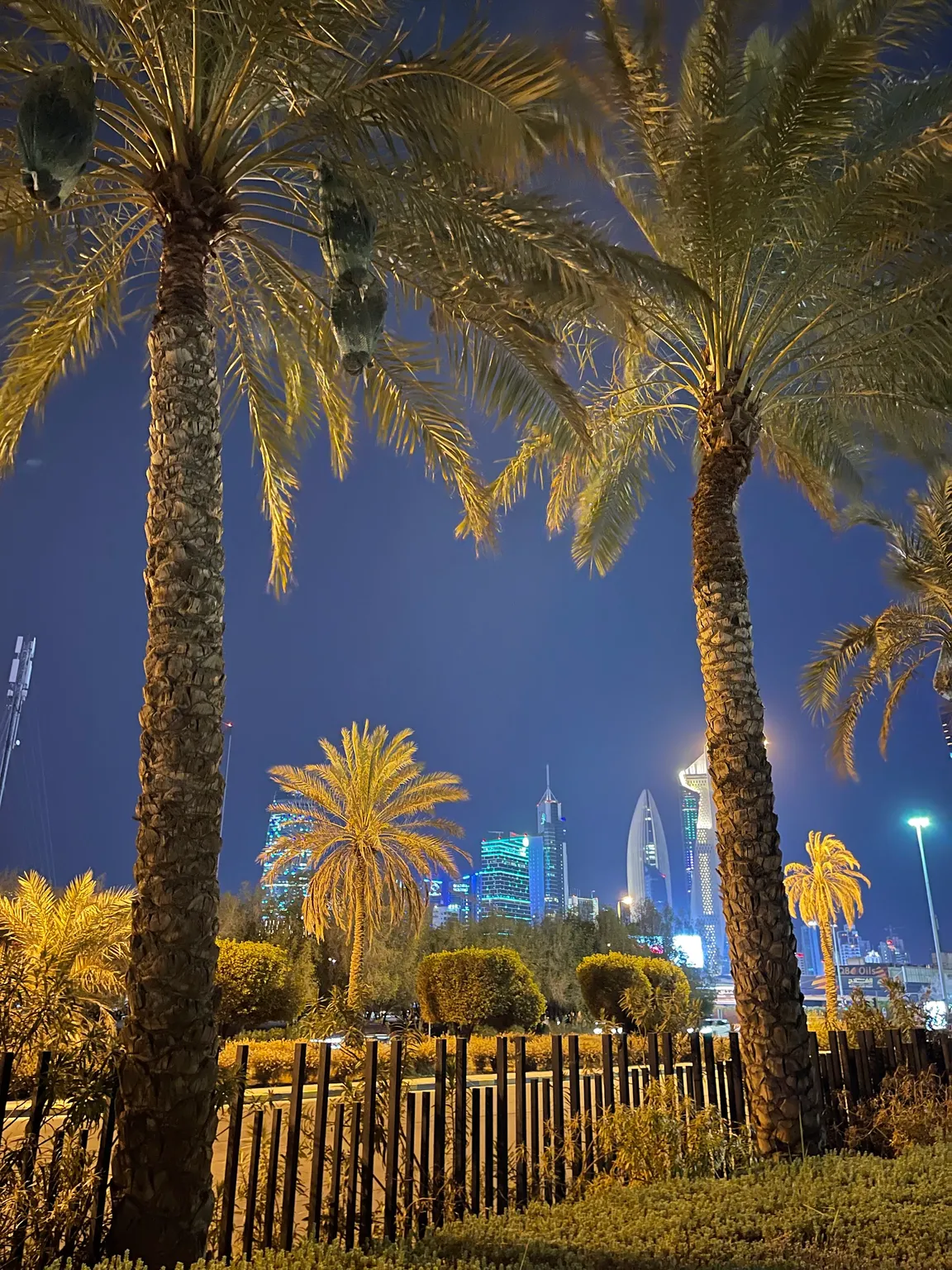 Al Shaheed Lake بحيرة حديقة الشهيد