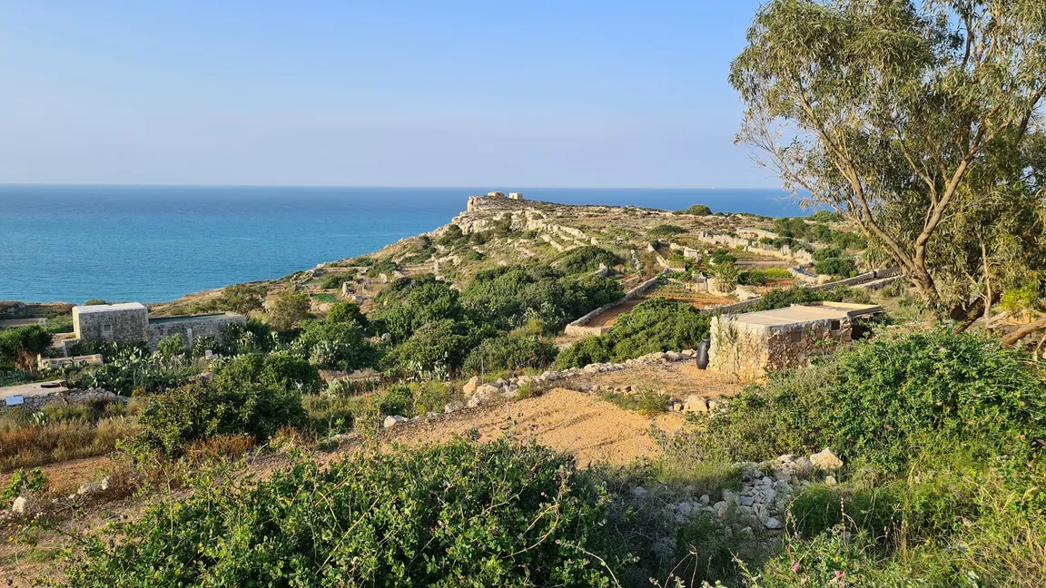 IL-Palazz