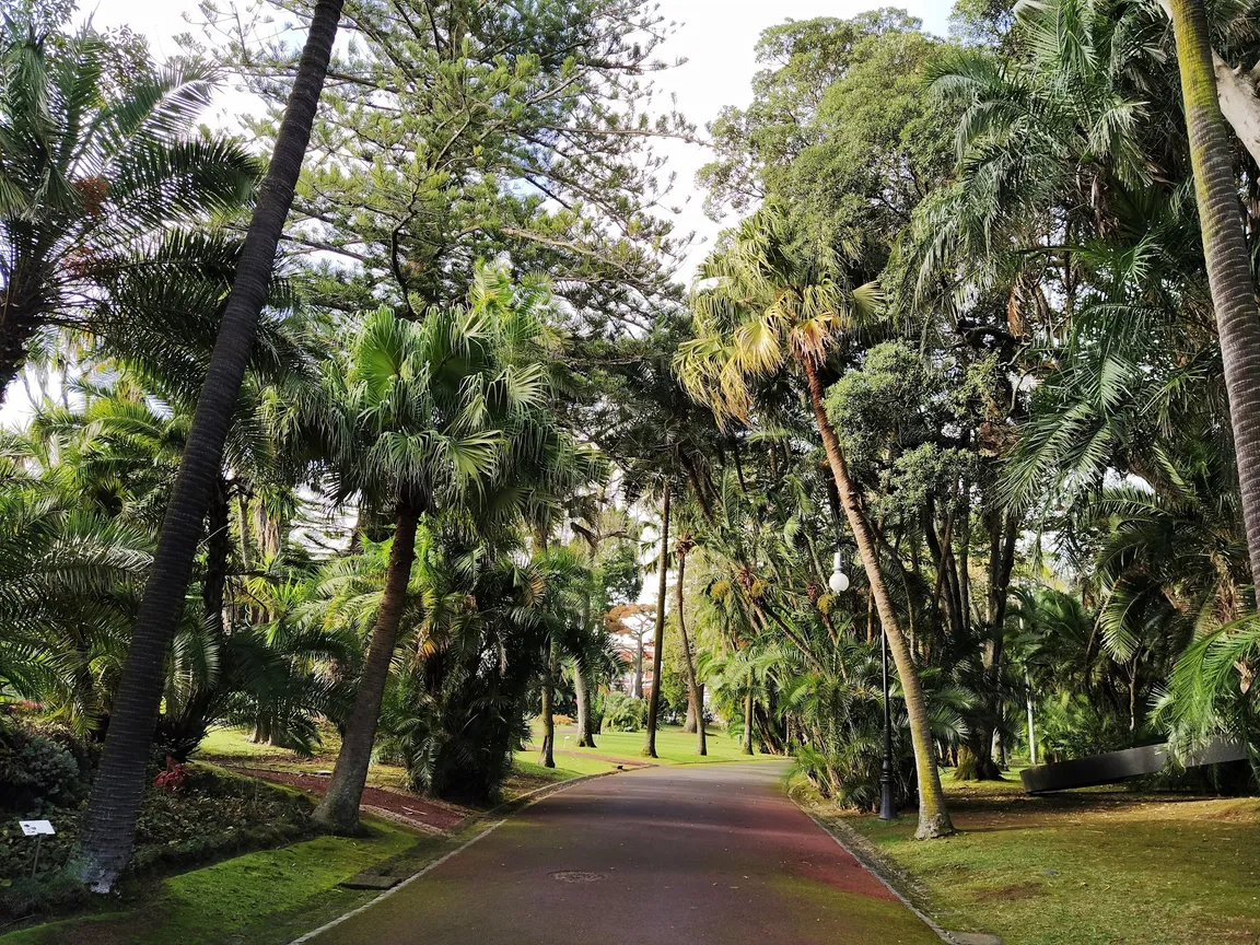 Jardim Botânico José do Canto