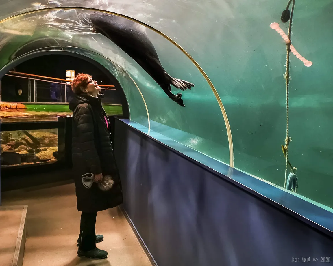 Polaria aquarium