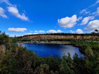 Arboretum