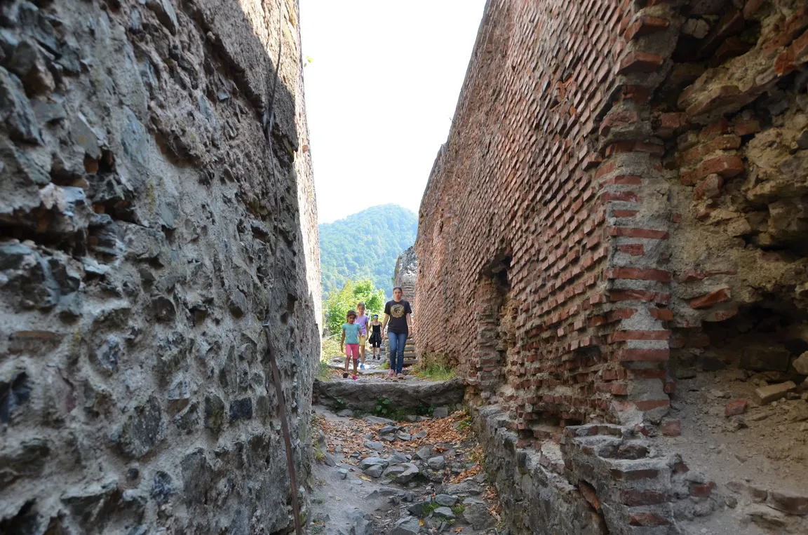 Cytadela Poenari