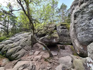 Szczeliniec Wielki