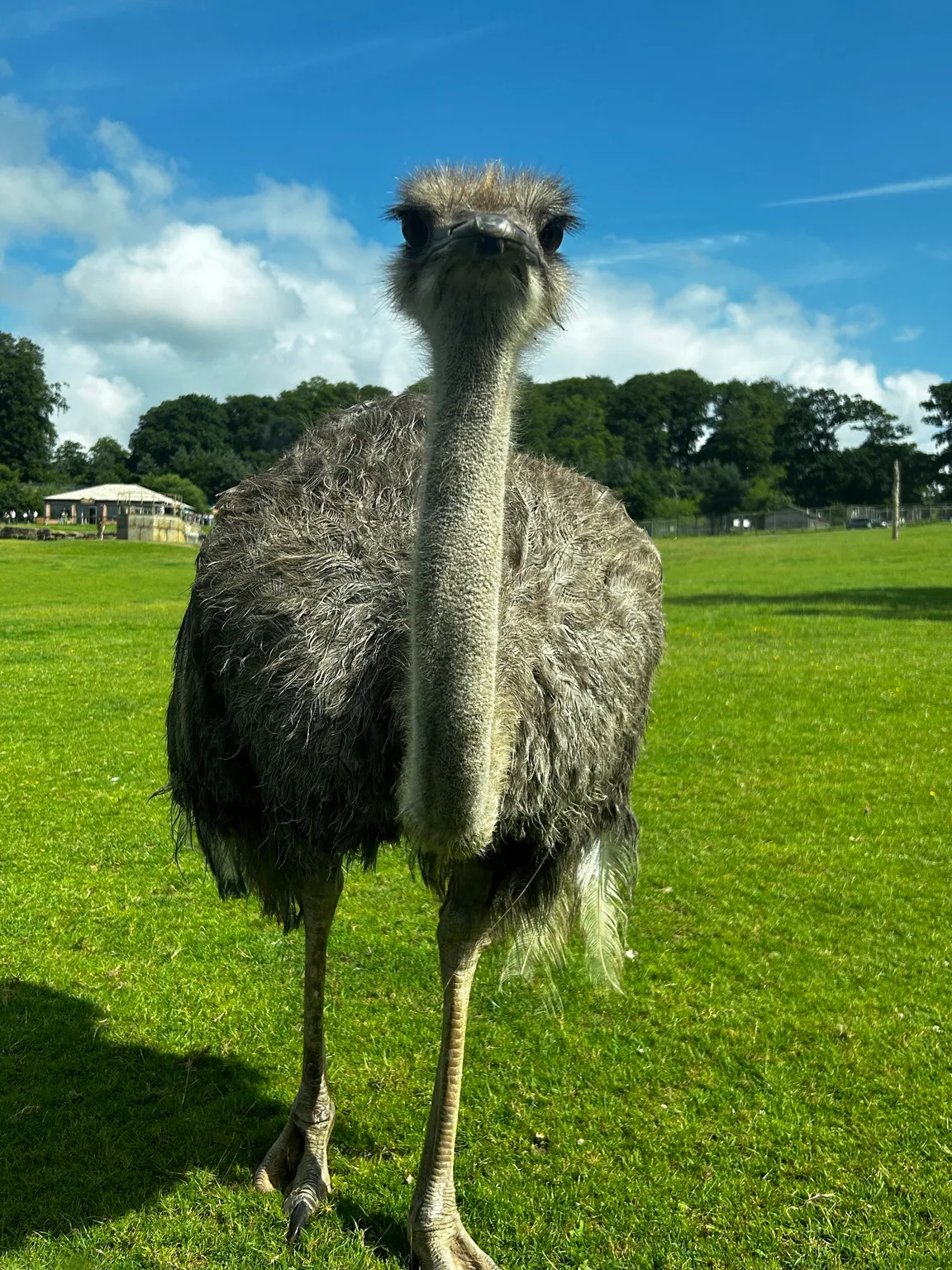 Longleat