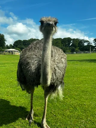 Longleat