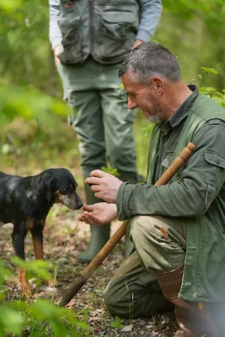Umbria Culinary Trails - Truffle Hunting in Umbria- Caccia al tartufo in Umbria