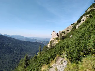 Dolina Małej Łąki