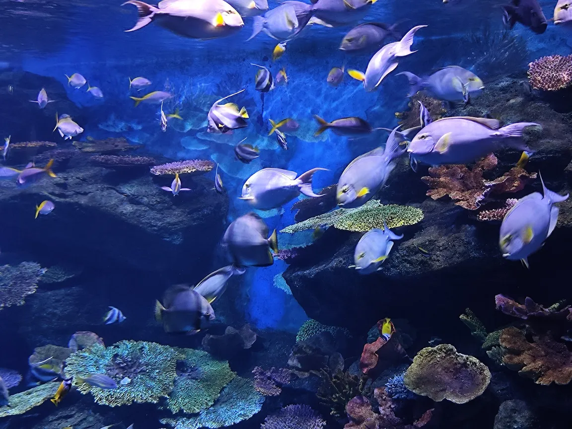 SEA LIFE Bangkok Ocean World