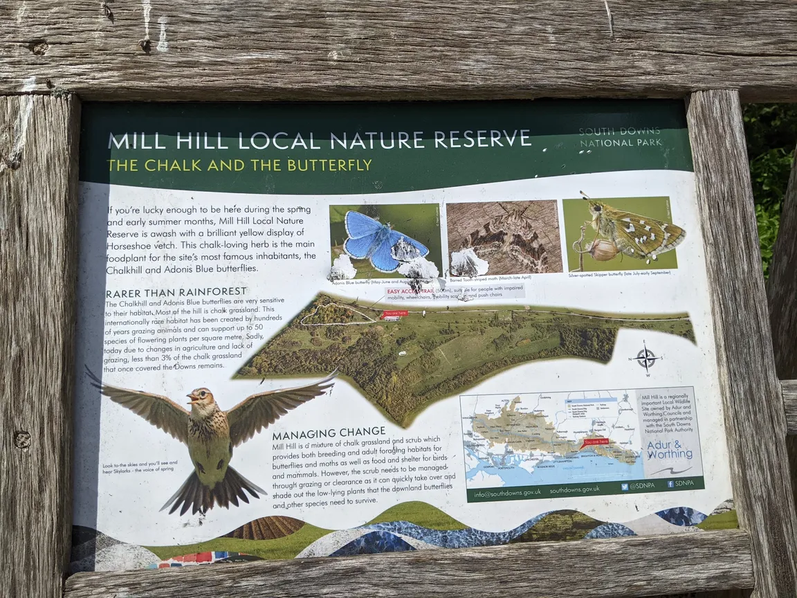 Mill Hill