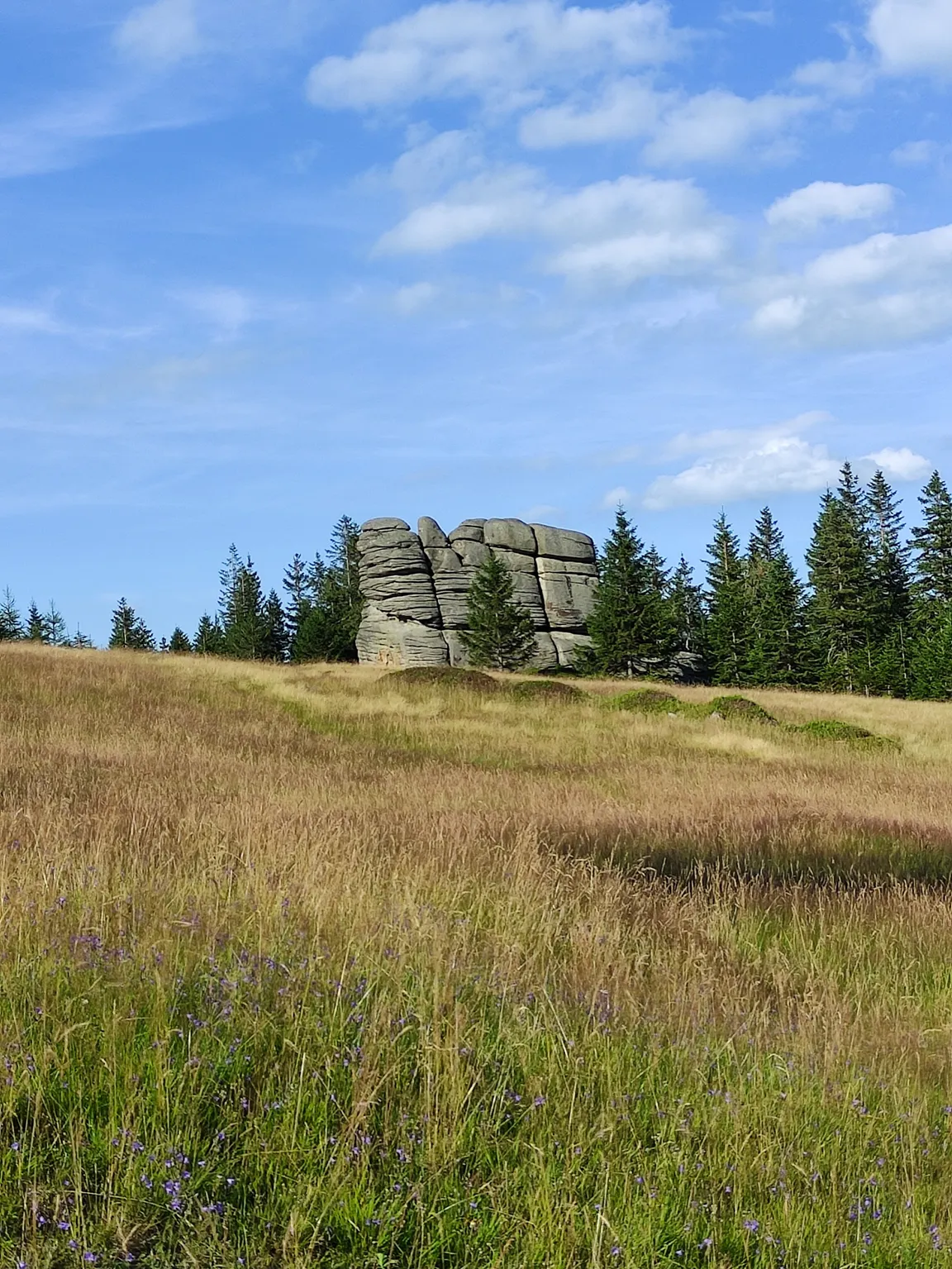 Polana Bronka Czecha