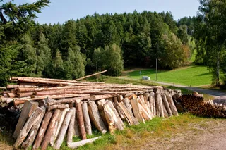 WiesenBett Hilserhof