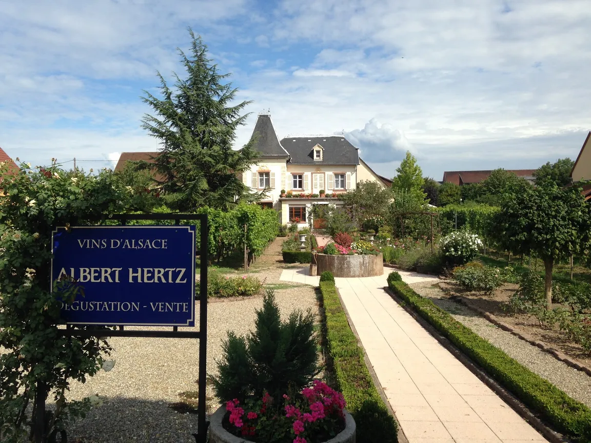 Albert HERTZ Wines