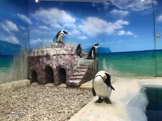 New Sapporo Sunpiazza Aquarium