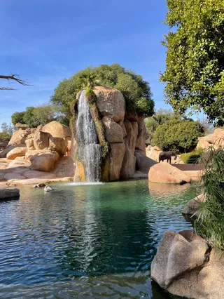 Bioparc Valencia