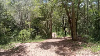 Banks Street Reserve
