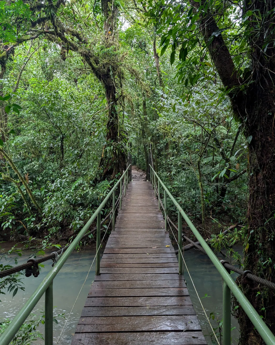 Parque Nacional Volcán Tenorio