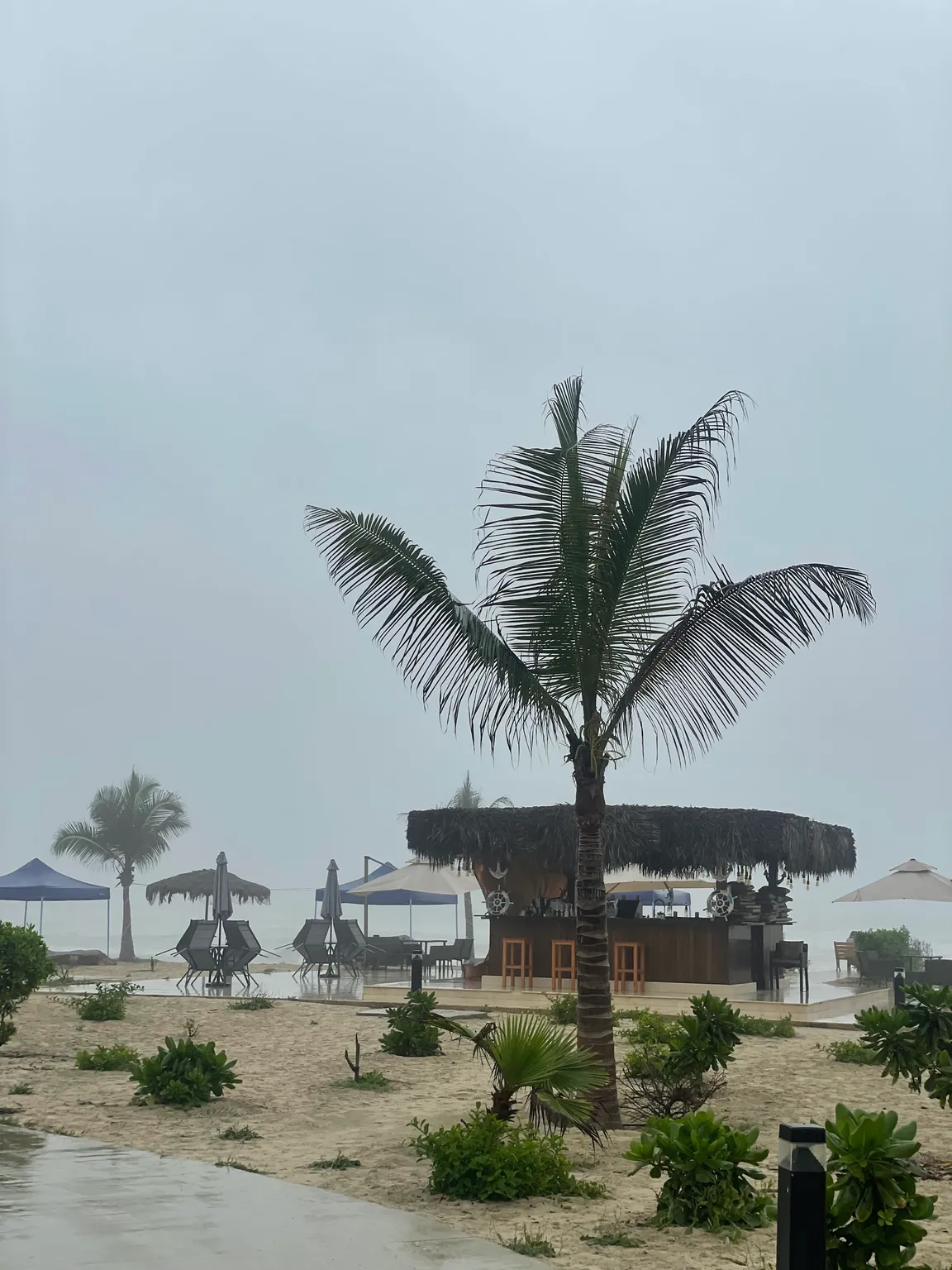 Sandyz Beach Club