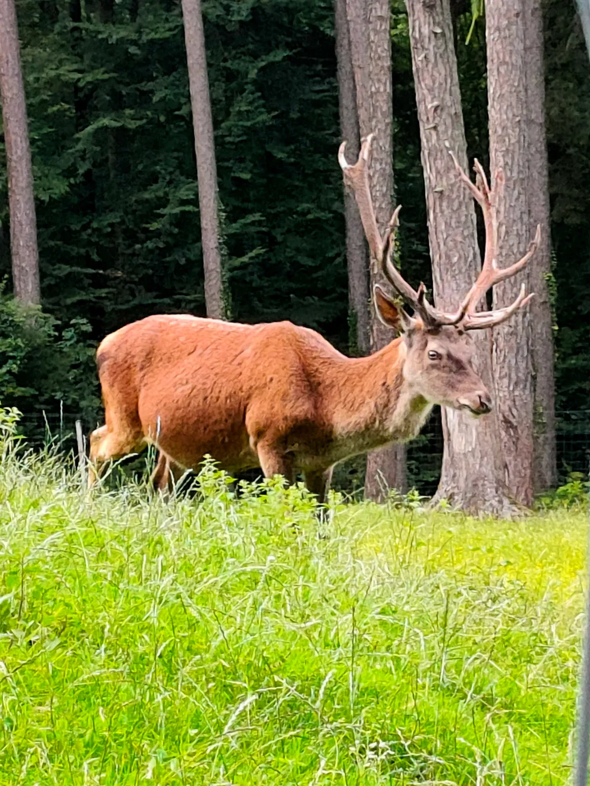 Parc Animalier de la Grande Jeanne