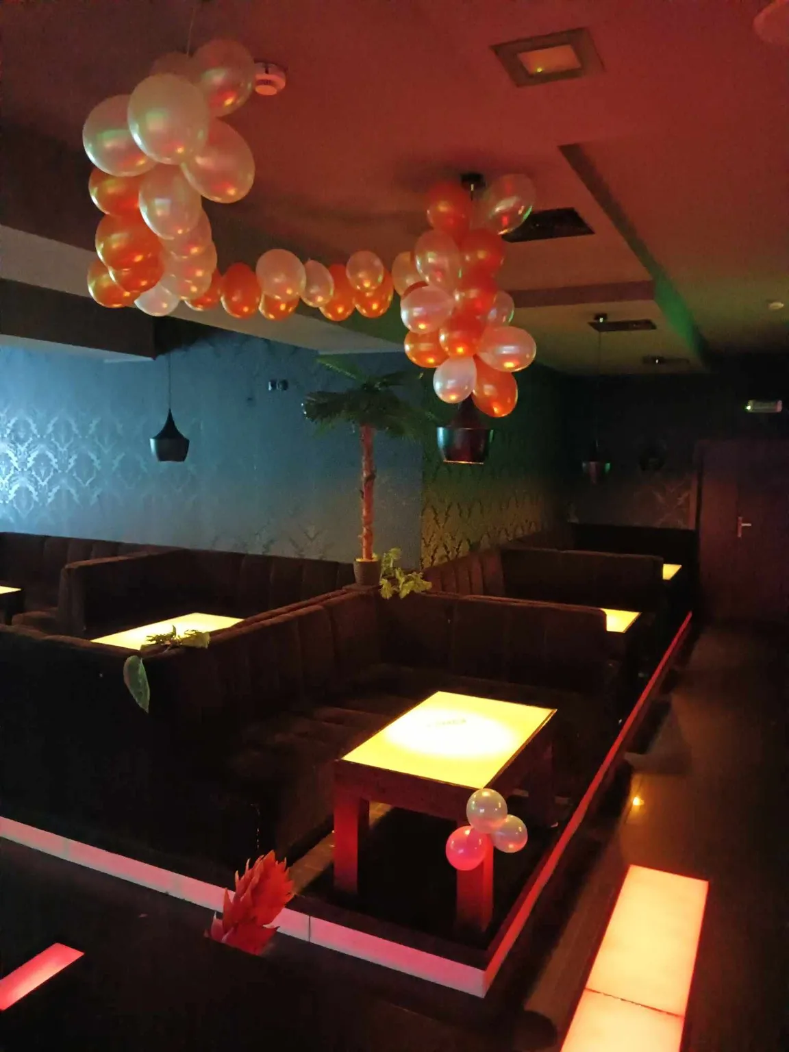 Cacao Music & Tropik