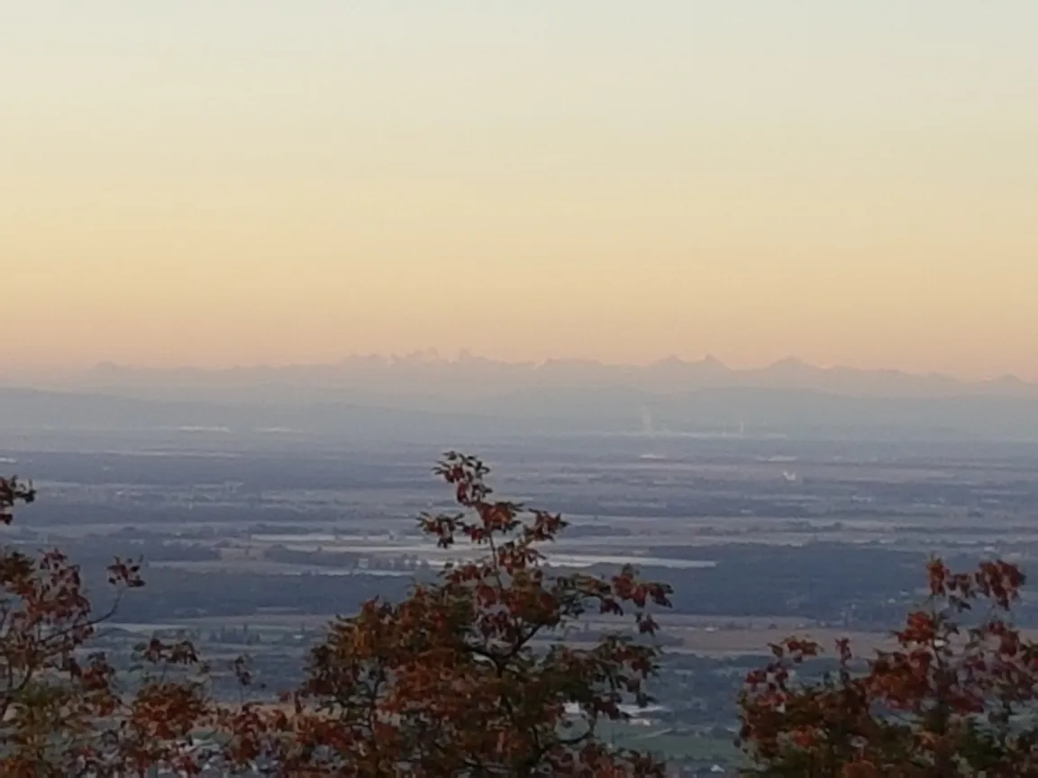 Domaine du Haut-Koenigsbourg