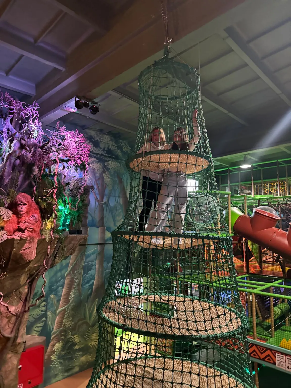 Jungle Park Rzeszów