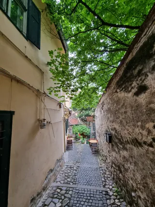 Restaurant Pivnita de vinuri Weinkeller