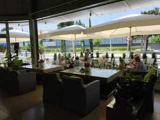 Begonia Garden Centre
