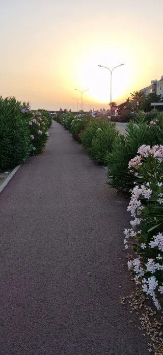Flower Avenue
