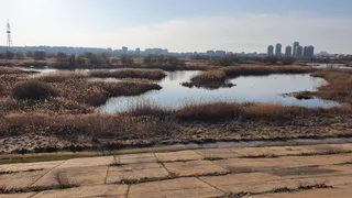 "Văcărești" Nature Park