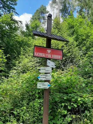 Jaskinia Łokietka