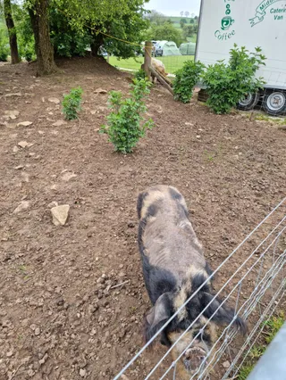 Middlehills Farm