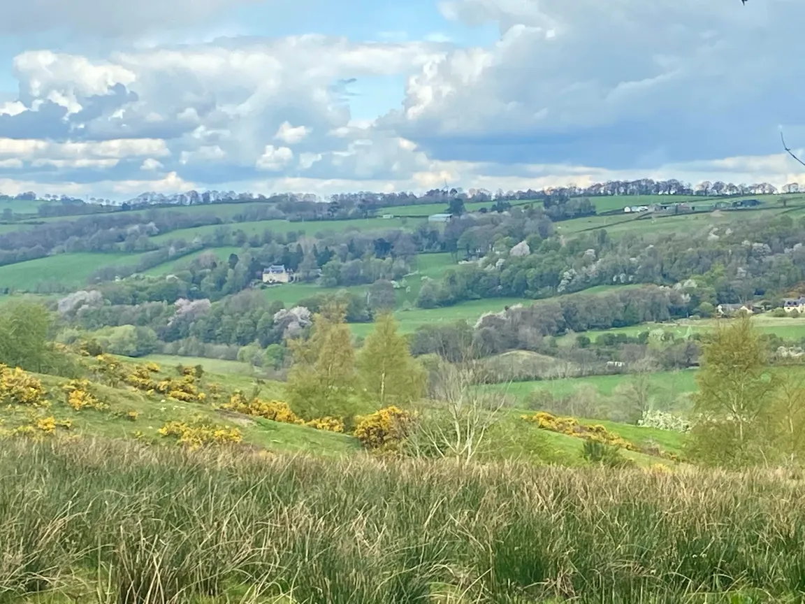 Clyde Valley Woodlands National Nature Reserve (Cartland Crags)